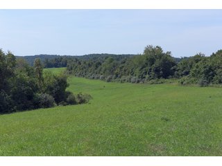 Tract 26 - Timberland & Farmland in Noble County, OH - LAND AUCTION - 12,200+/- ACRES OFFERED IN 65 TRACTS IN NOBLE COUNTY, OHIO